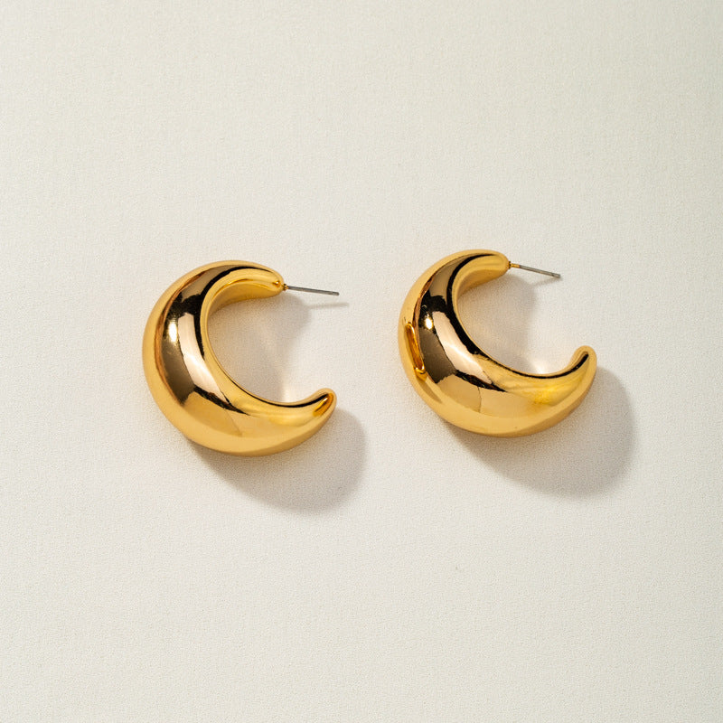 lady geometric plating alloy no inlaid earrings